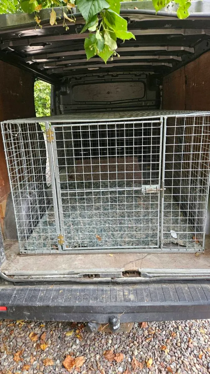 Transport cage - Image 3