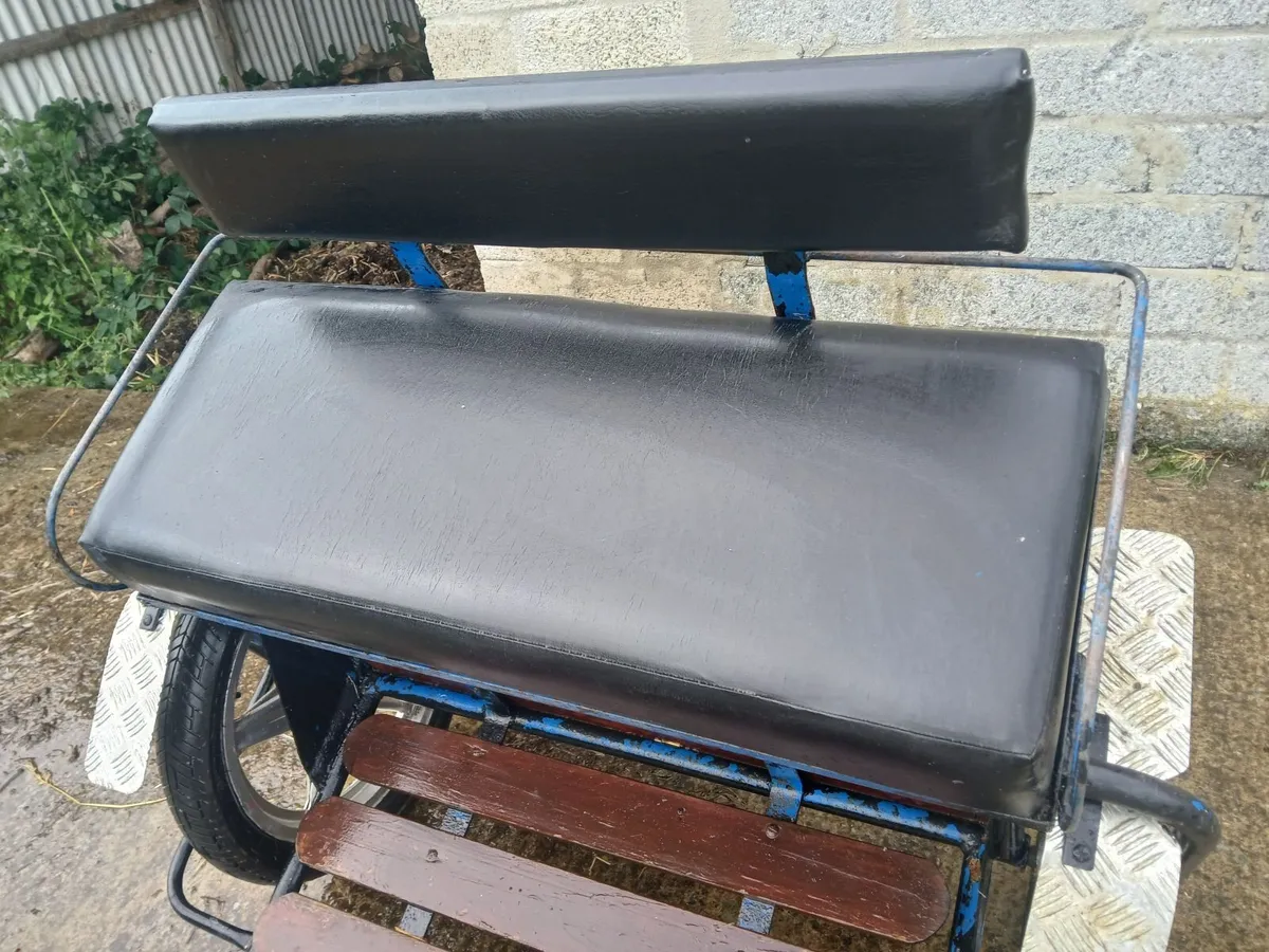 Horse cart - Image 4