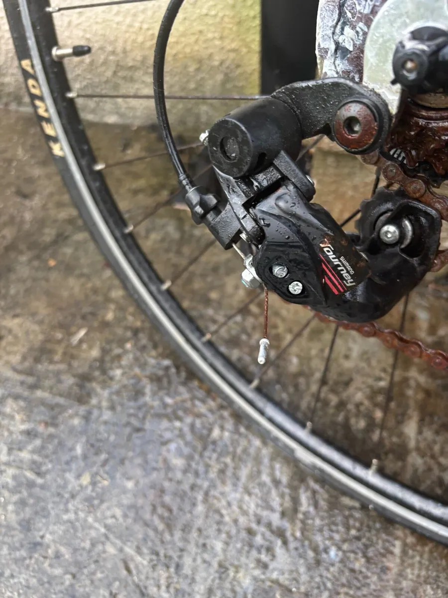 Carrera Racing Bicycle - Image 2