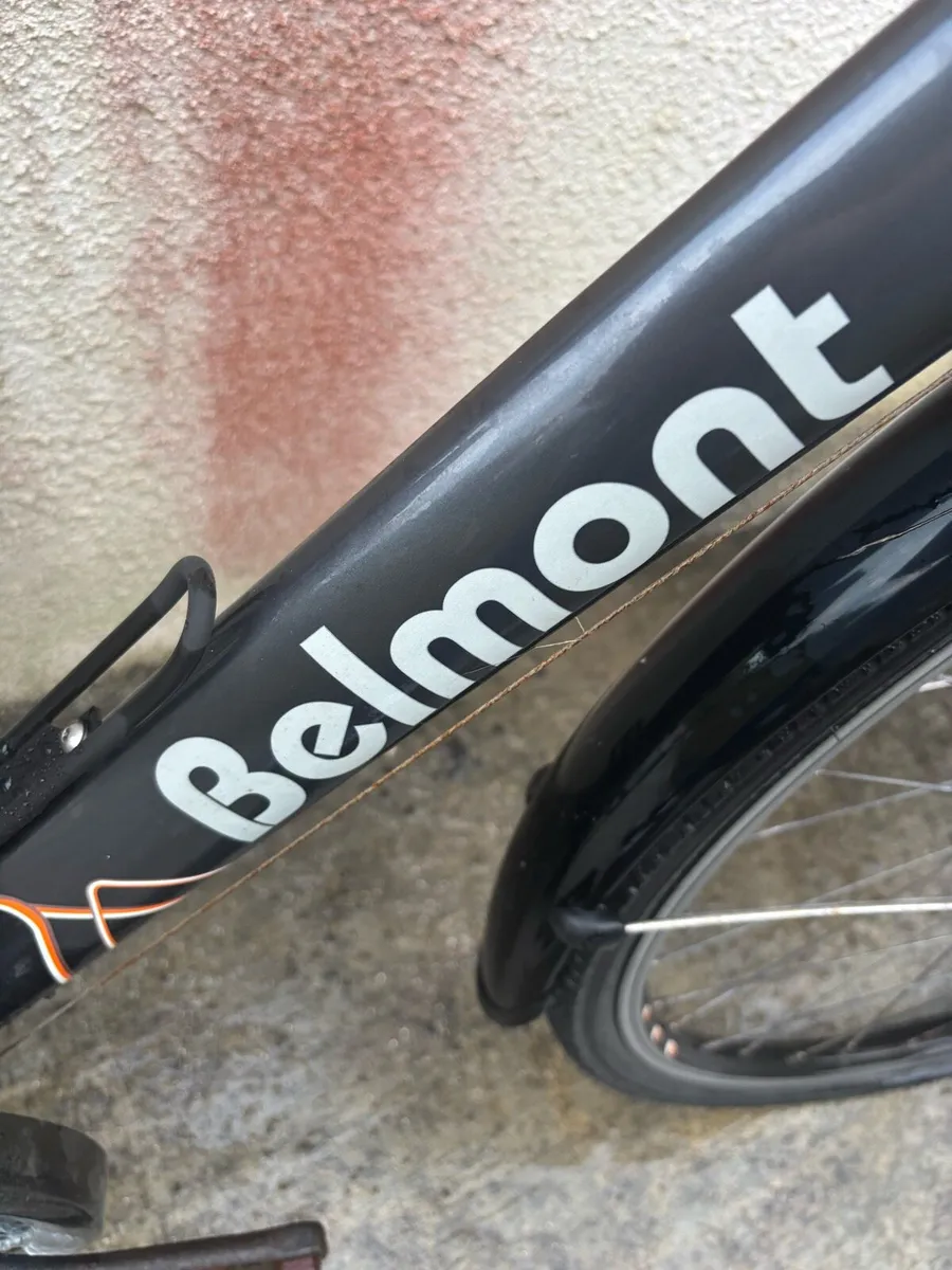 Adult touring bike - Image 3
