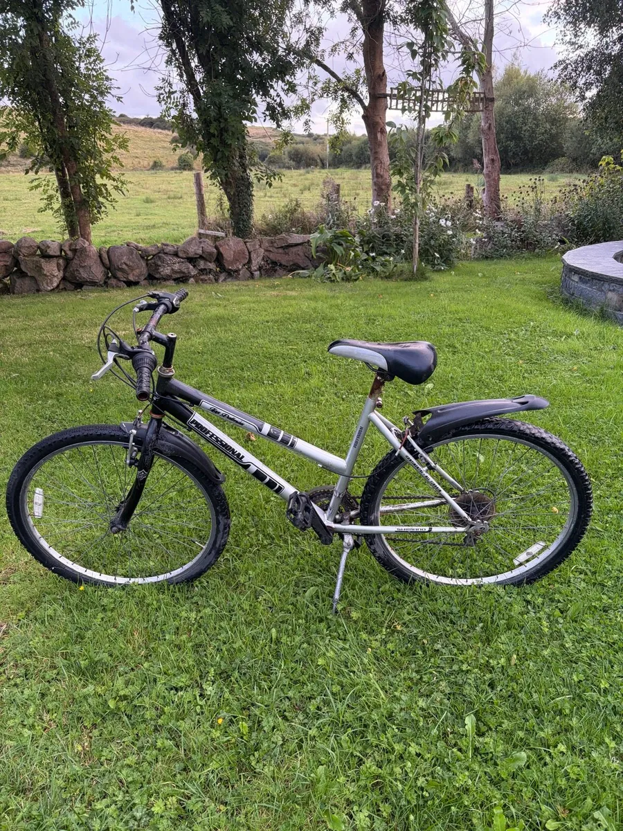 Bike - Image 1