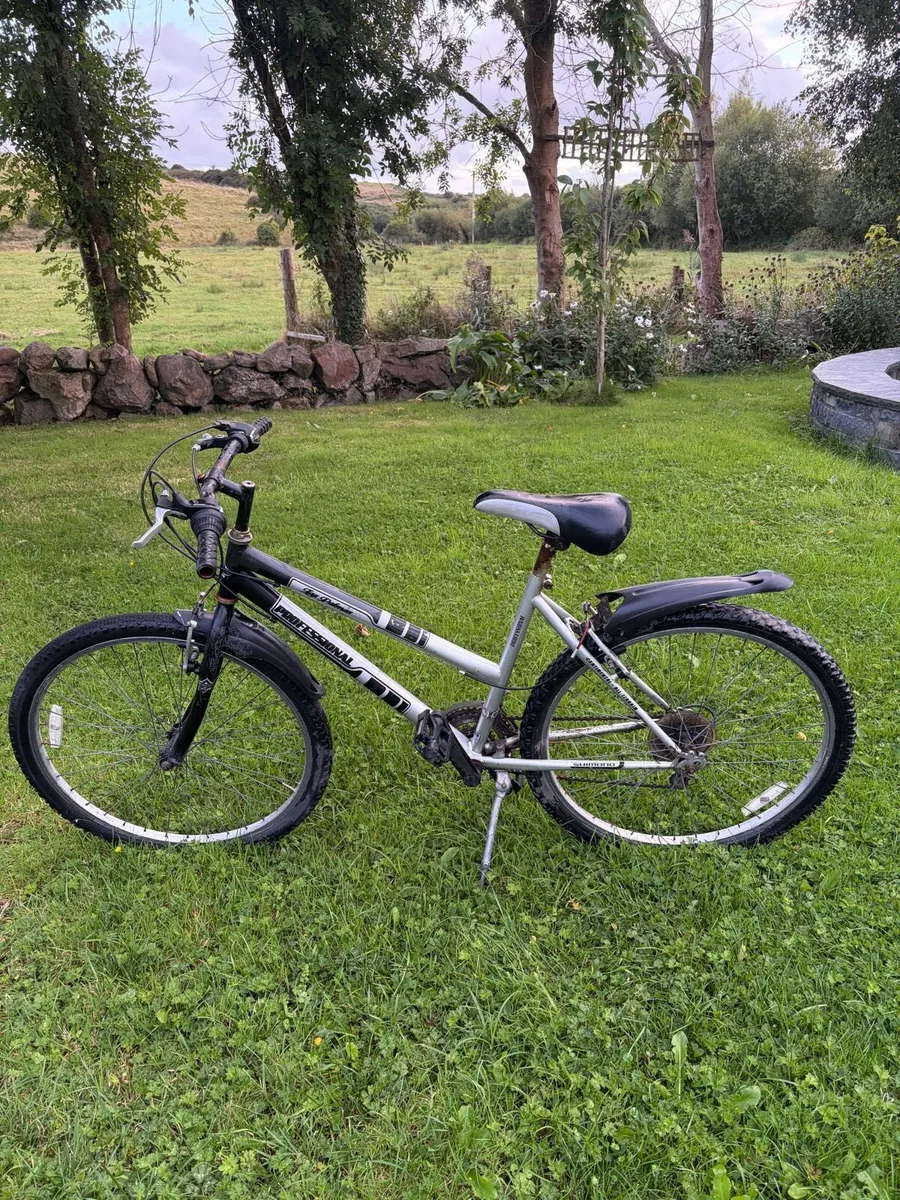 Bike - Image 2