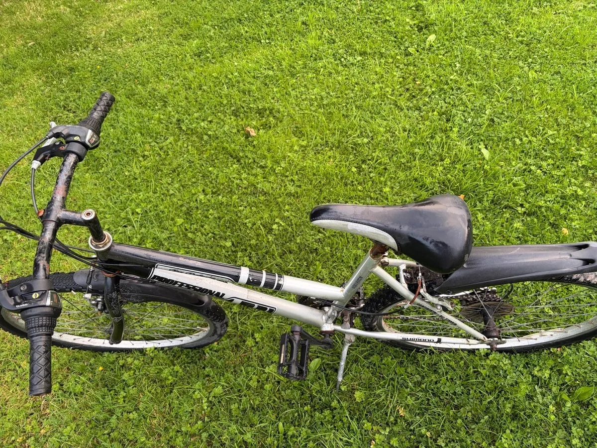 Bike - Image 3