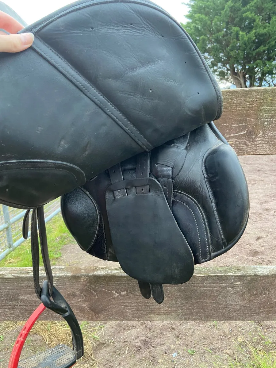 Saddle - Image 4