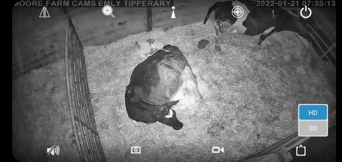 MOORE CALVING CAMERAS - 0892504083 - Image 4