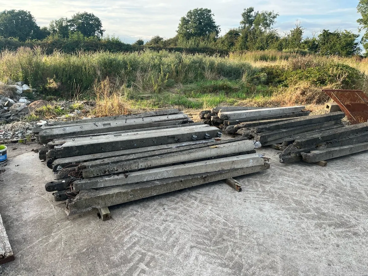 8ft concrete posts