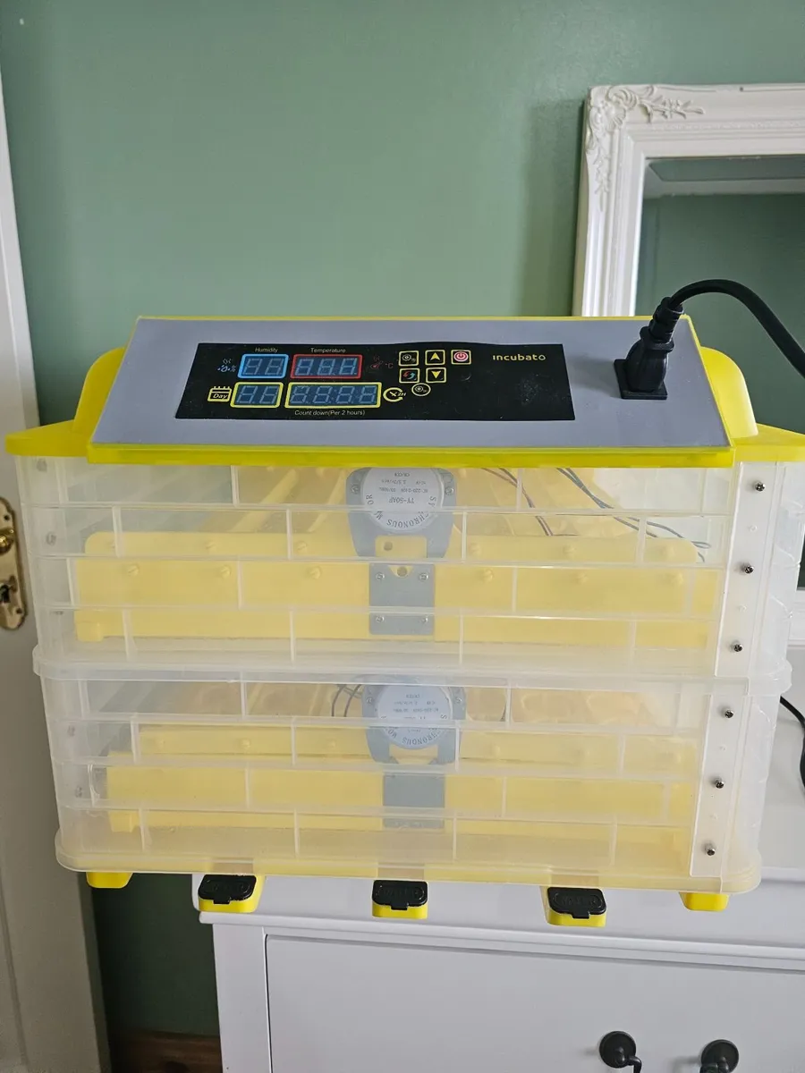 Egg Incubator - Image 4