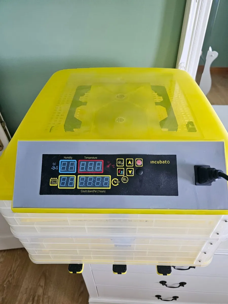 Egg Incubator - Image 1