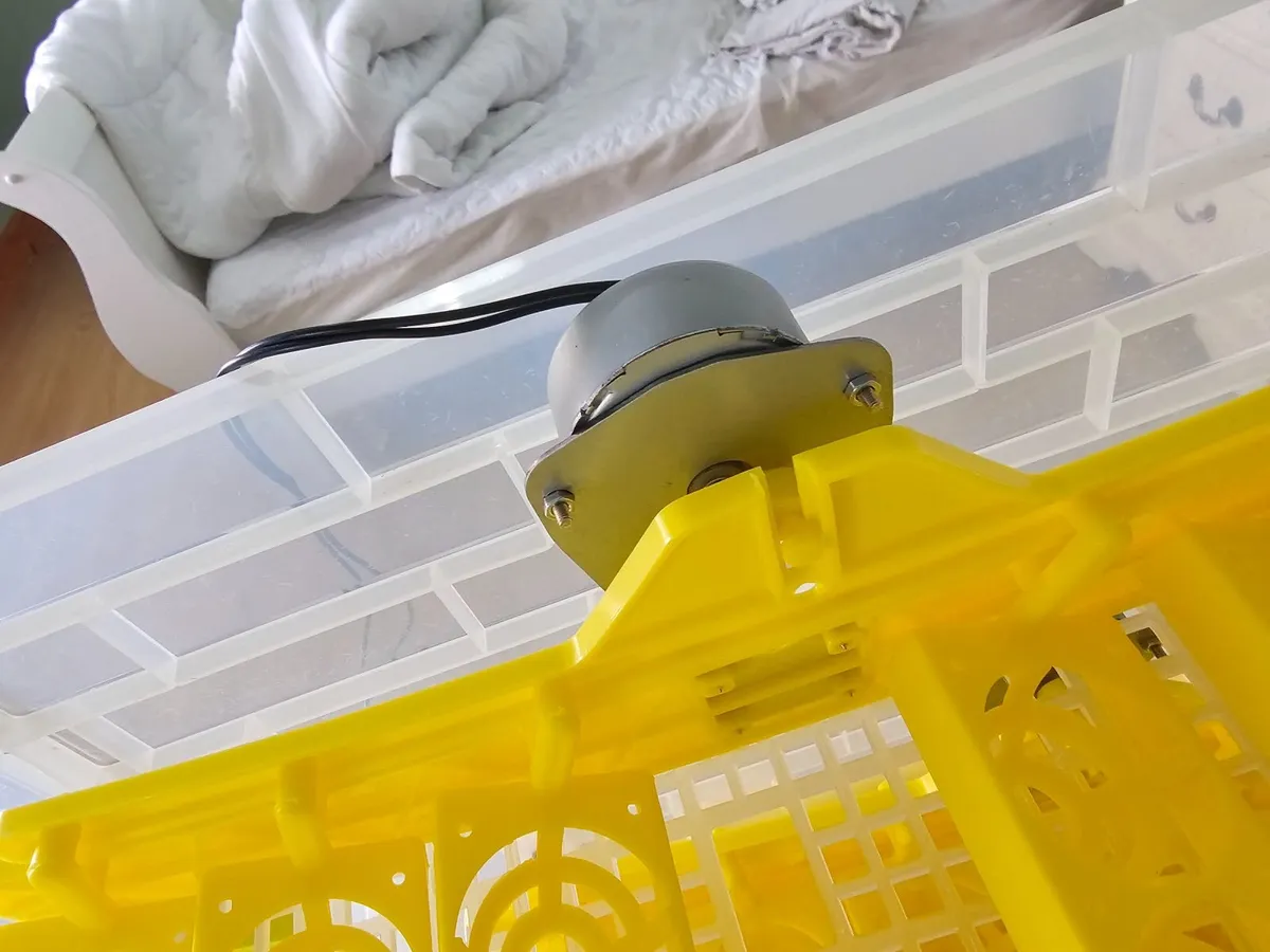 Egg Incubator - Image 2