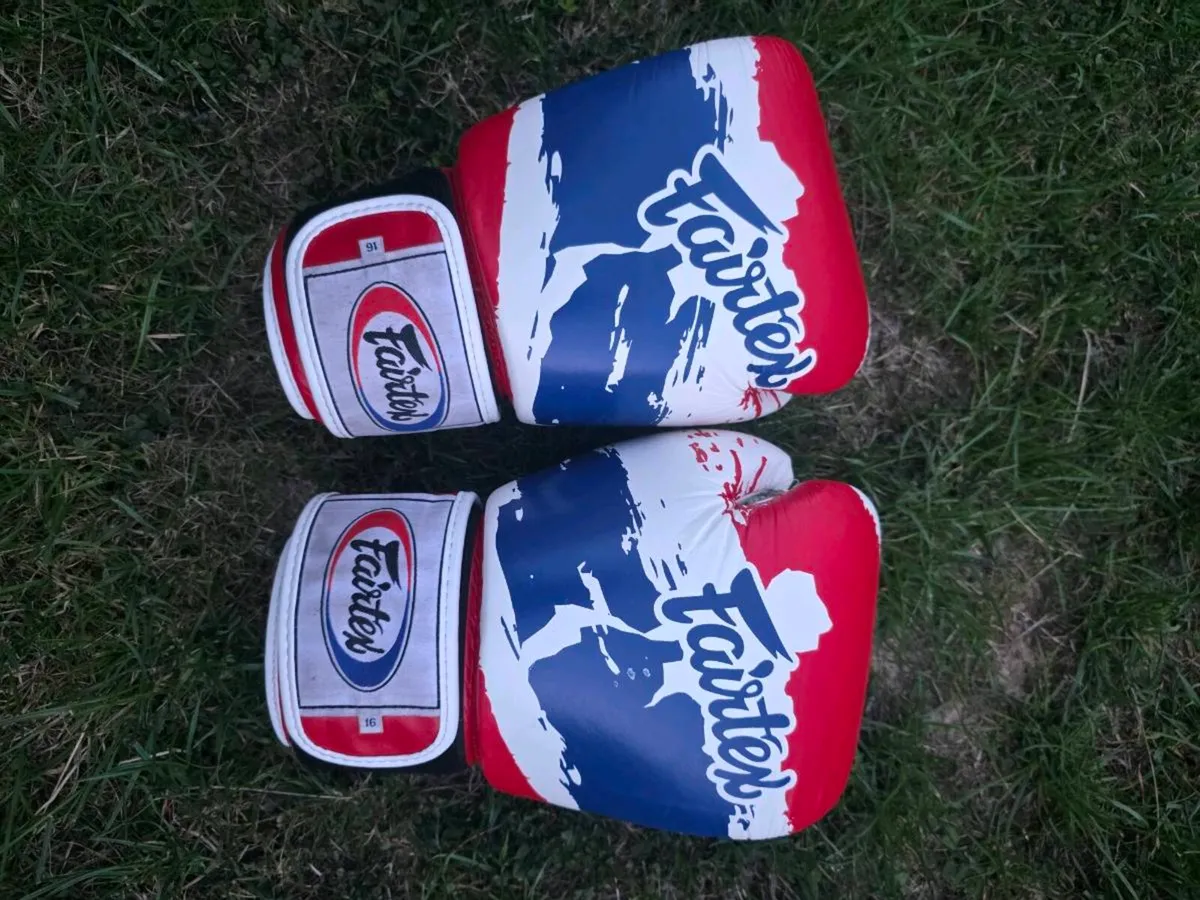 Gloves and kick pads - Image 1