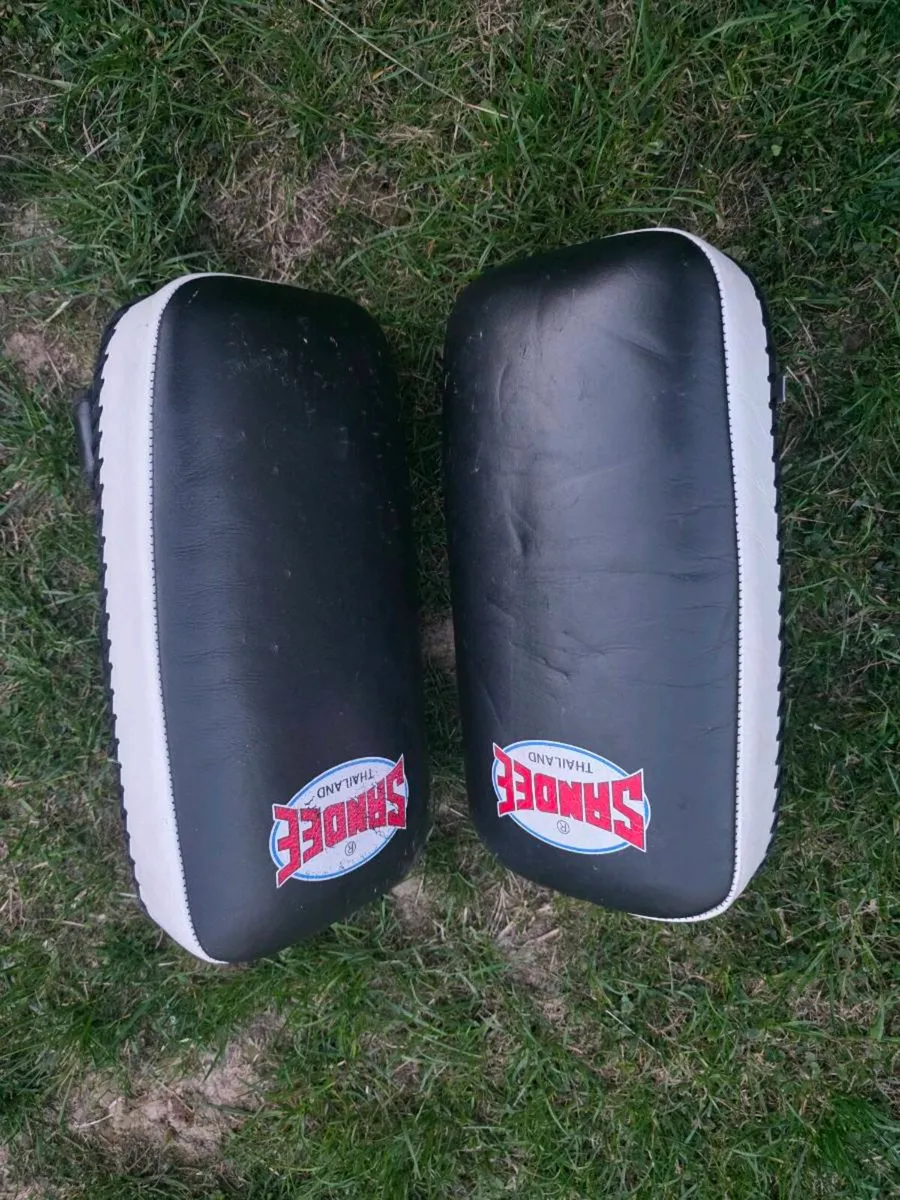 Gloves and kick pads - Image 3