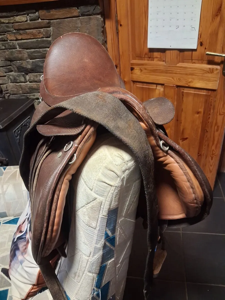 Jeffries saddle - Image 2