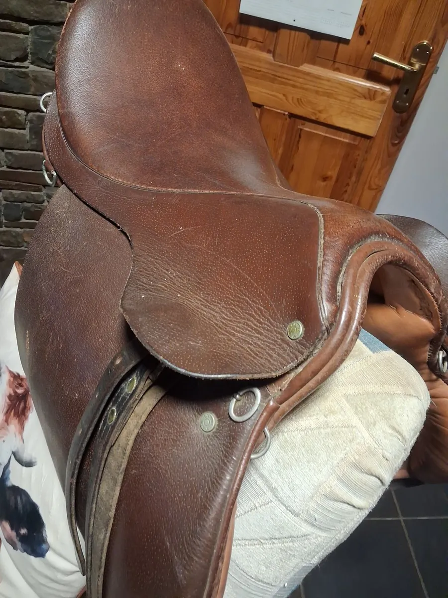 Jeffries saddle - Image 3