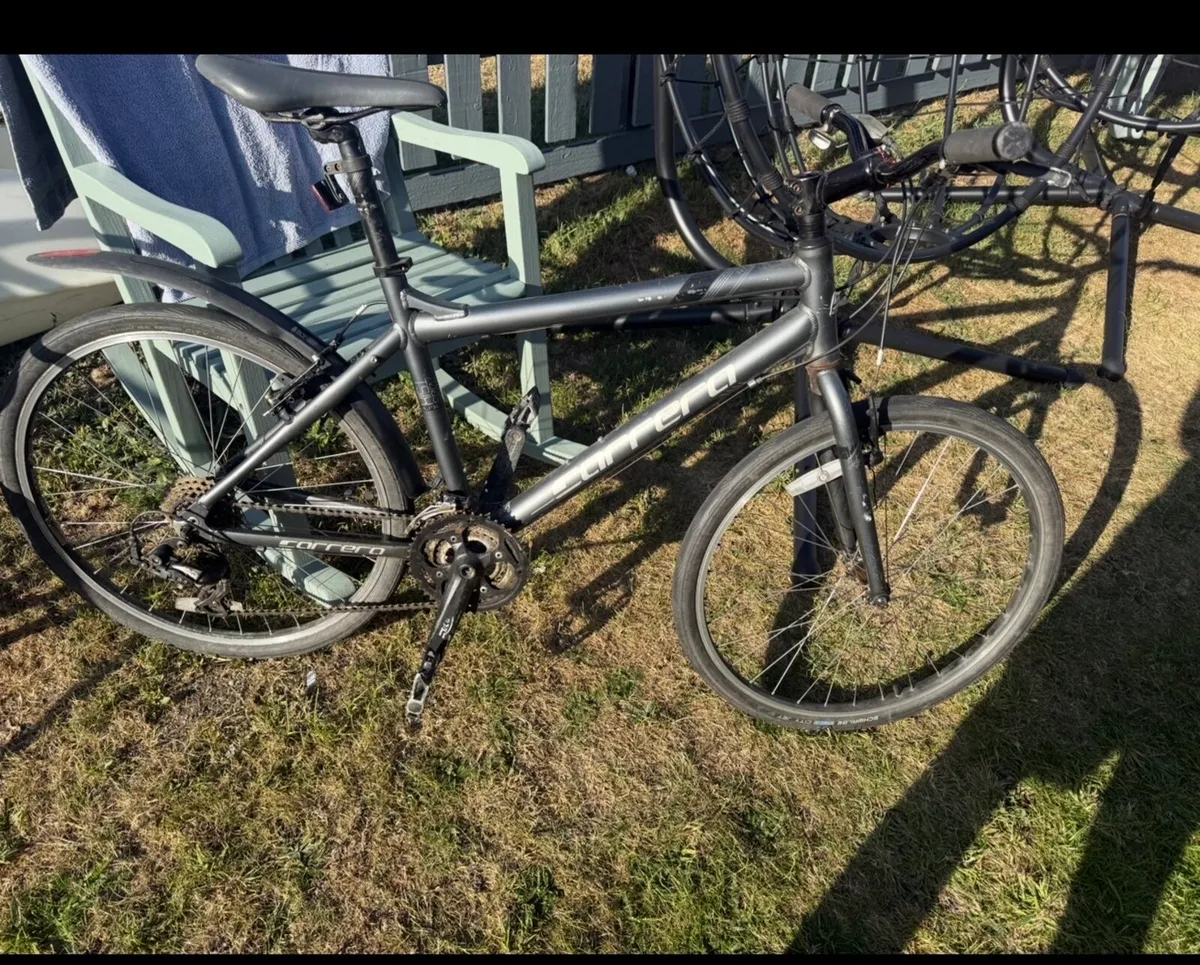 18” Carrera mountain bike - Image 3