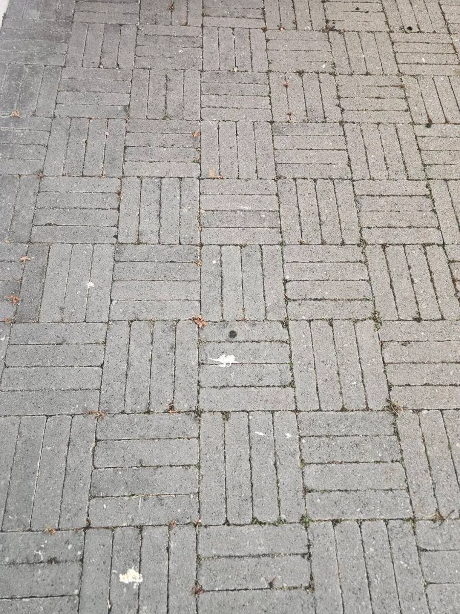 Paving bricks - Image 1