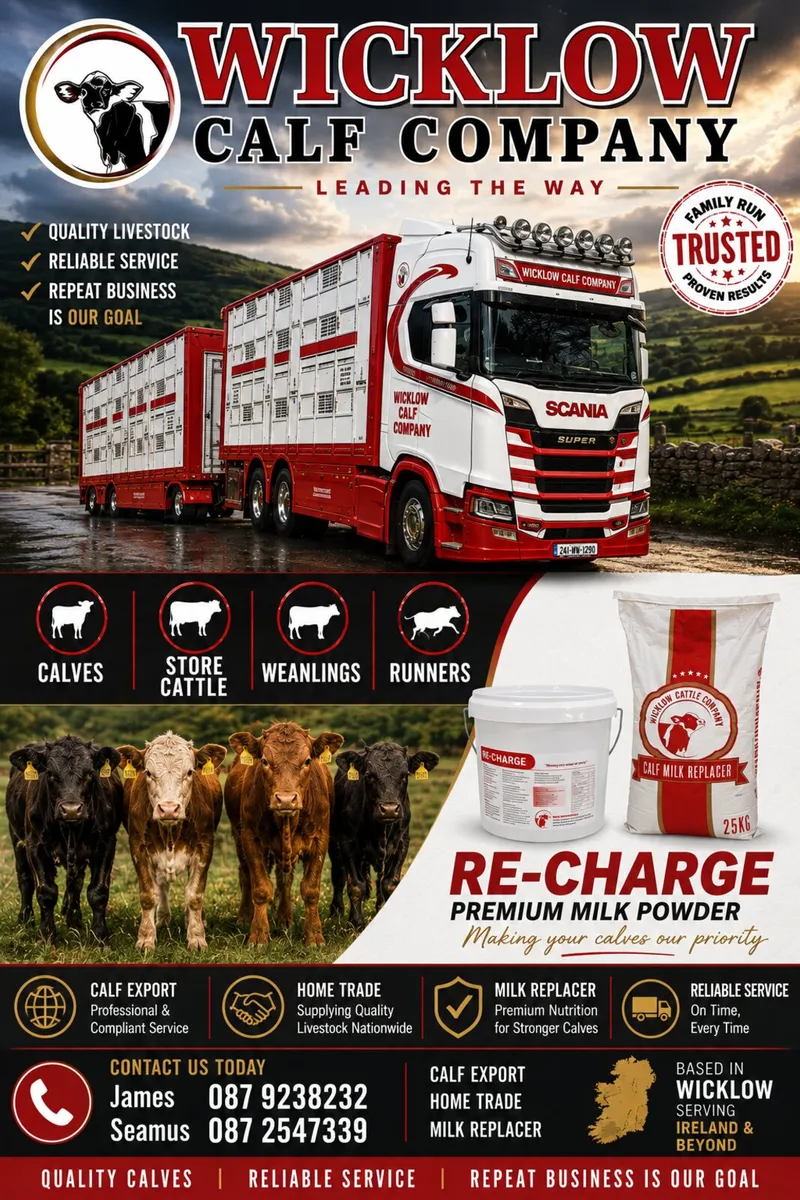 6 Super weanling bulls for sale - Image 1