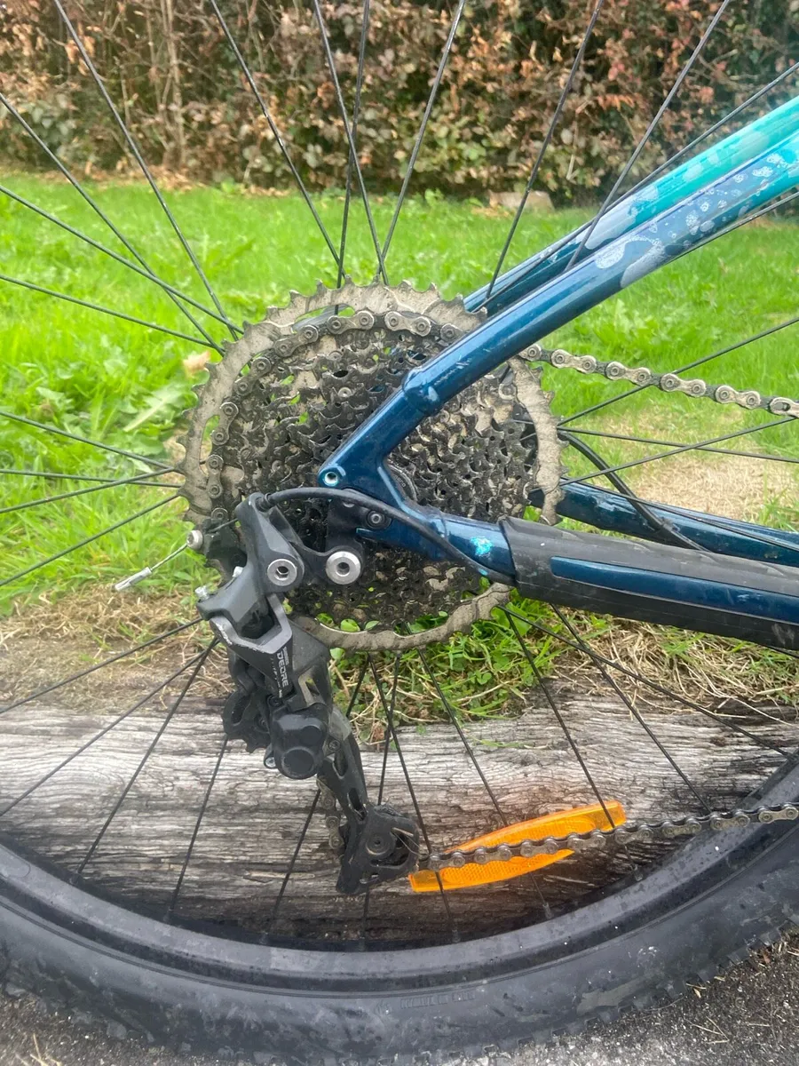 2026 trek marlin 6 - Image 4