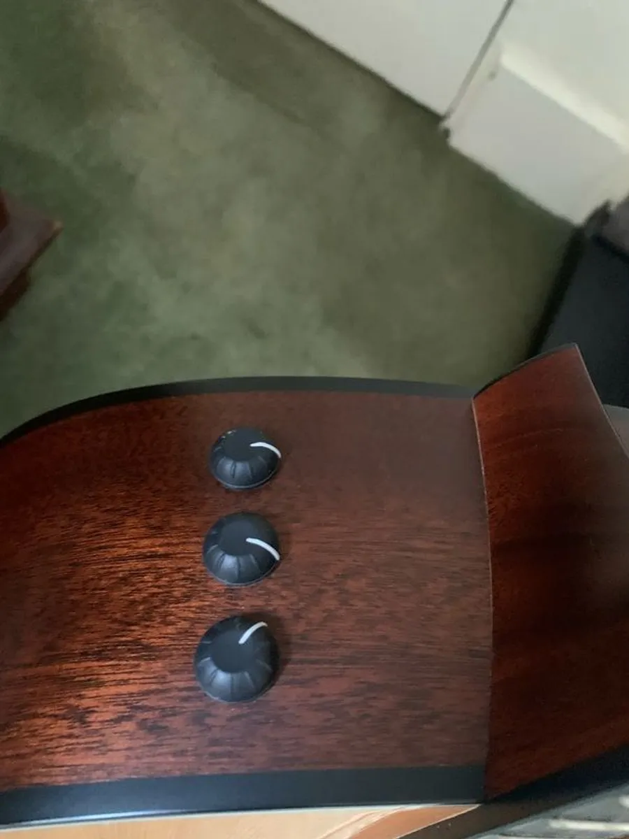 Taylor 317e Grand Pacific with Hard Case - Image 3
