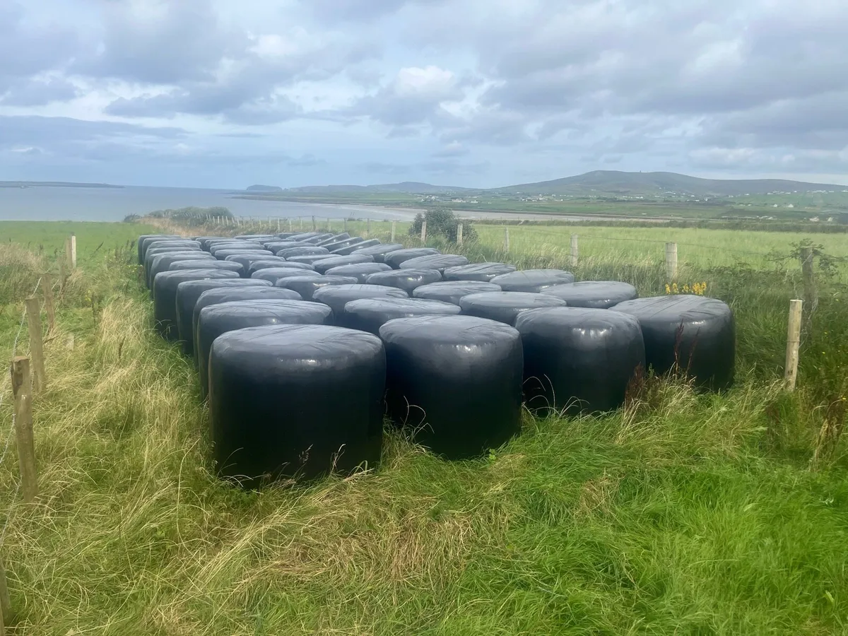 25 Silage bales. ( Belmullet, Barnatra) area - Image 1