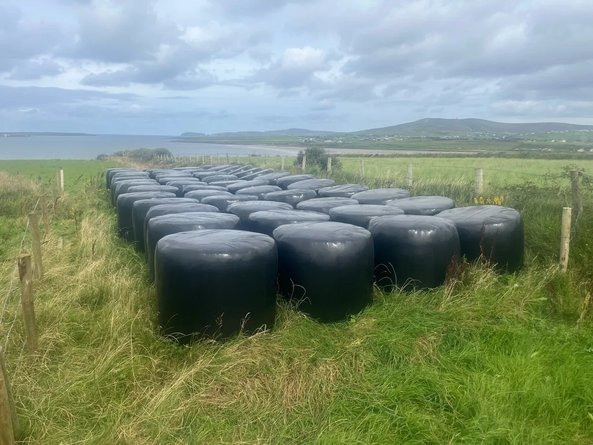 25 Silage bales. ( Belmullet, Barnatra) area - Image 2