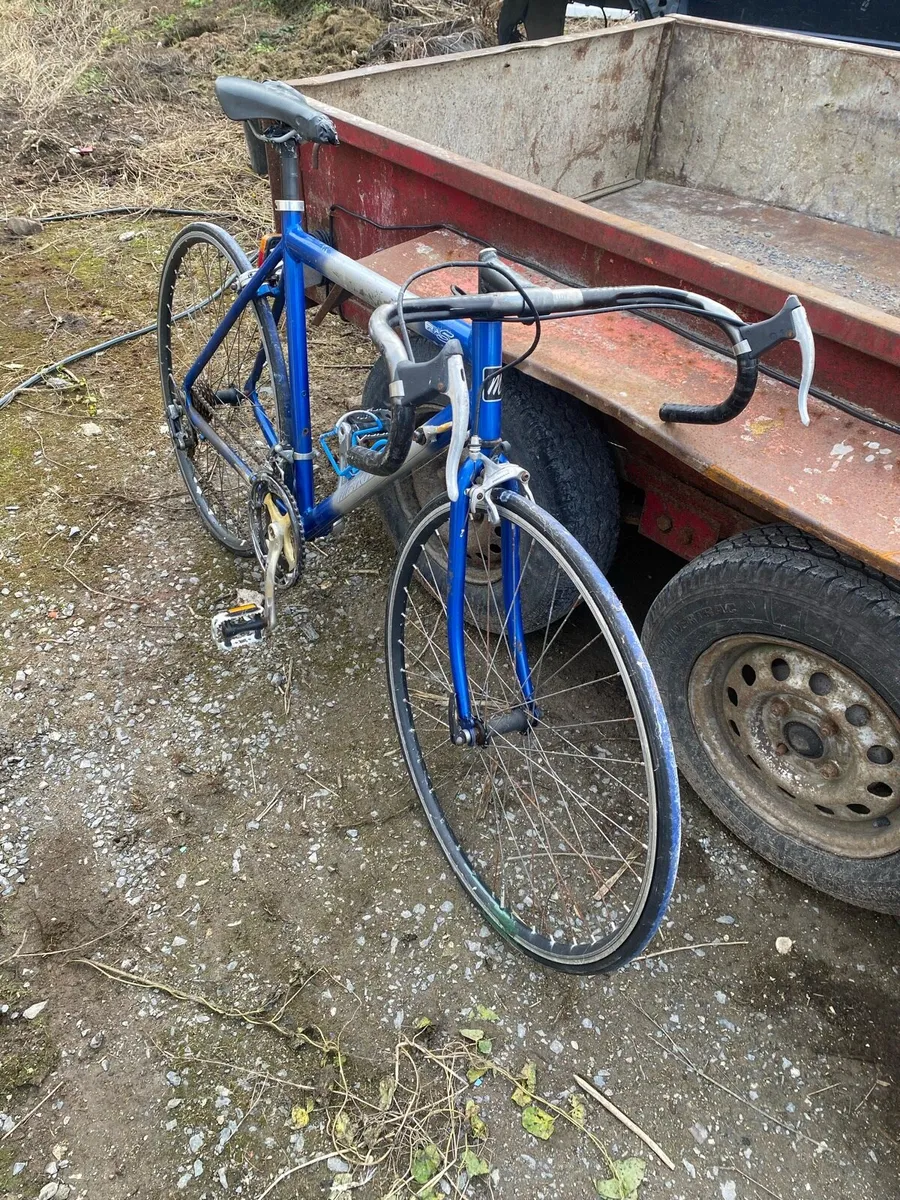 Bicycle