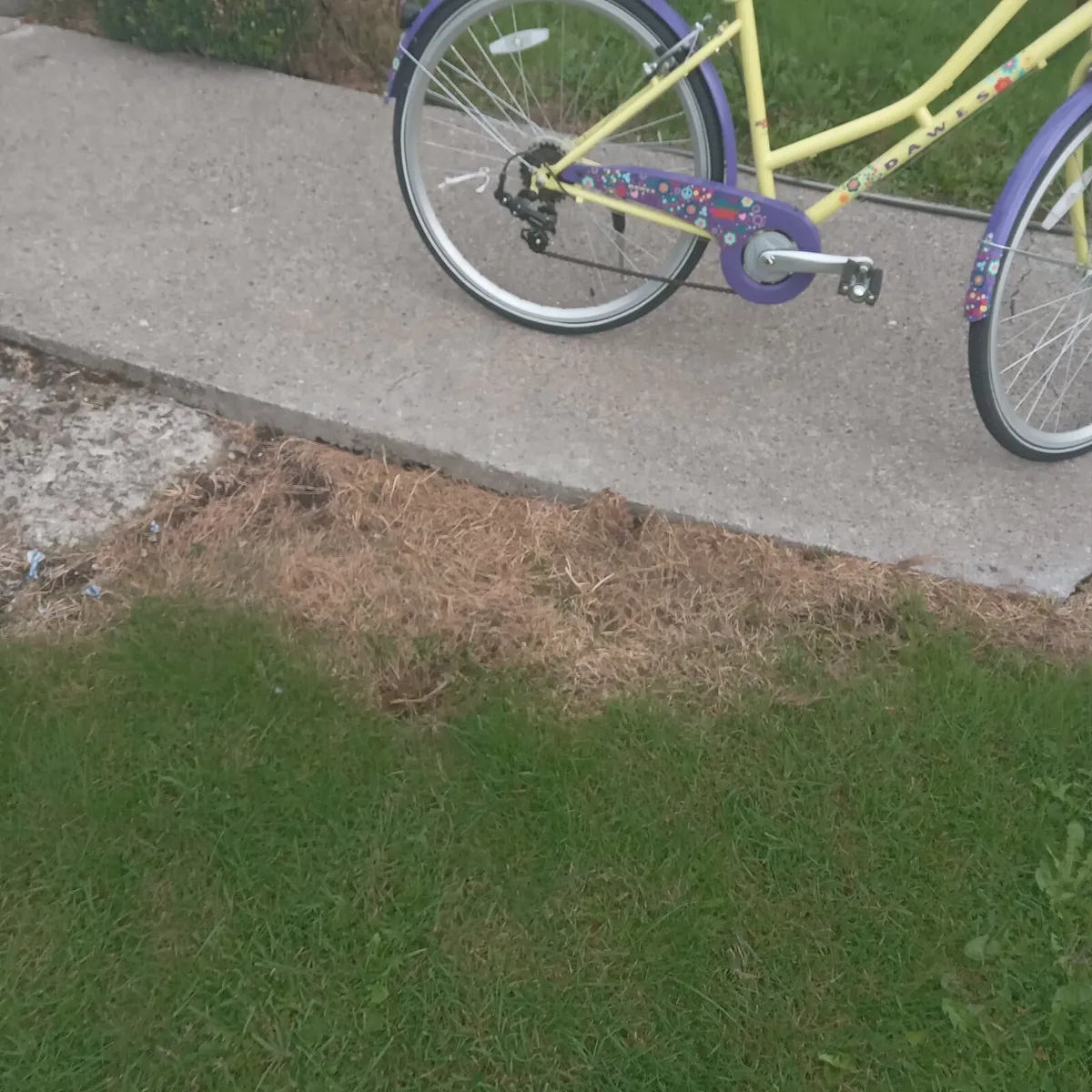 Raleigh Lady's bicycle - Image 2