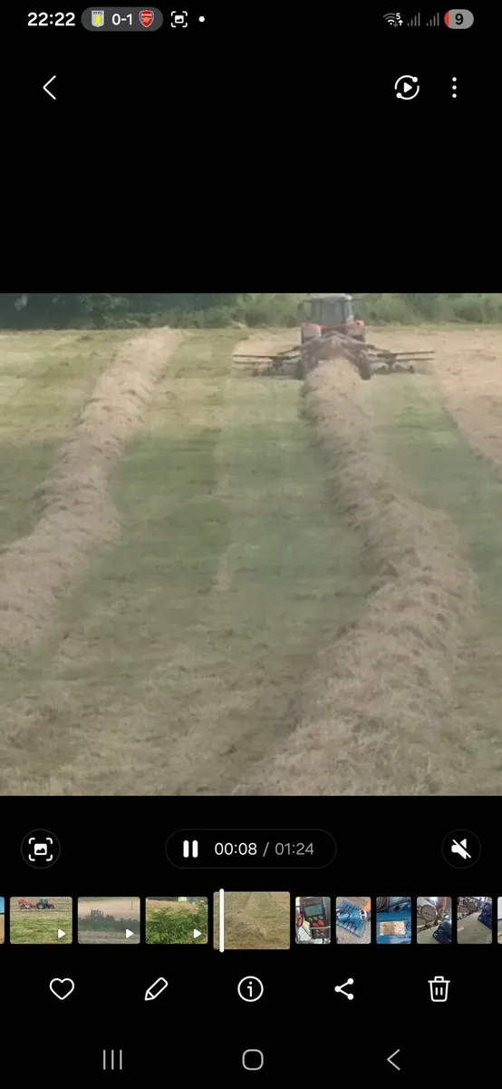 Hay - Image 3