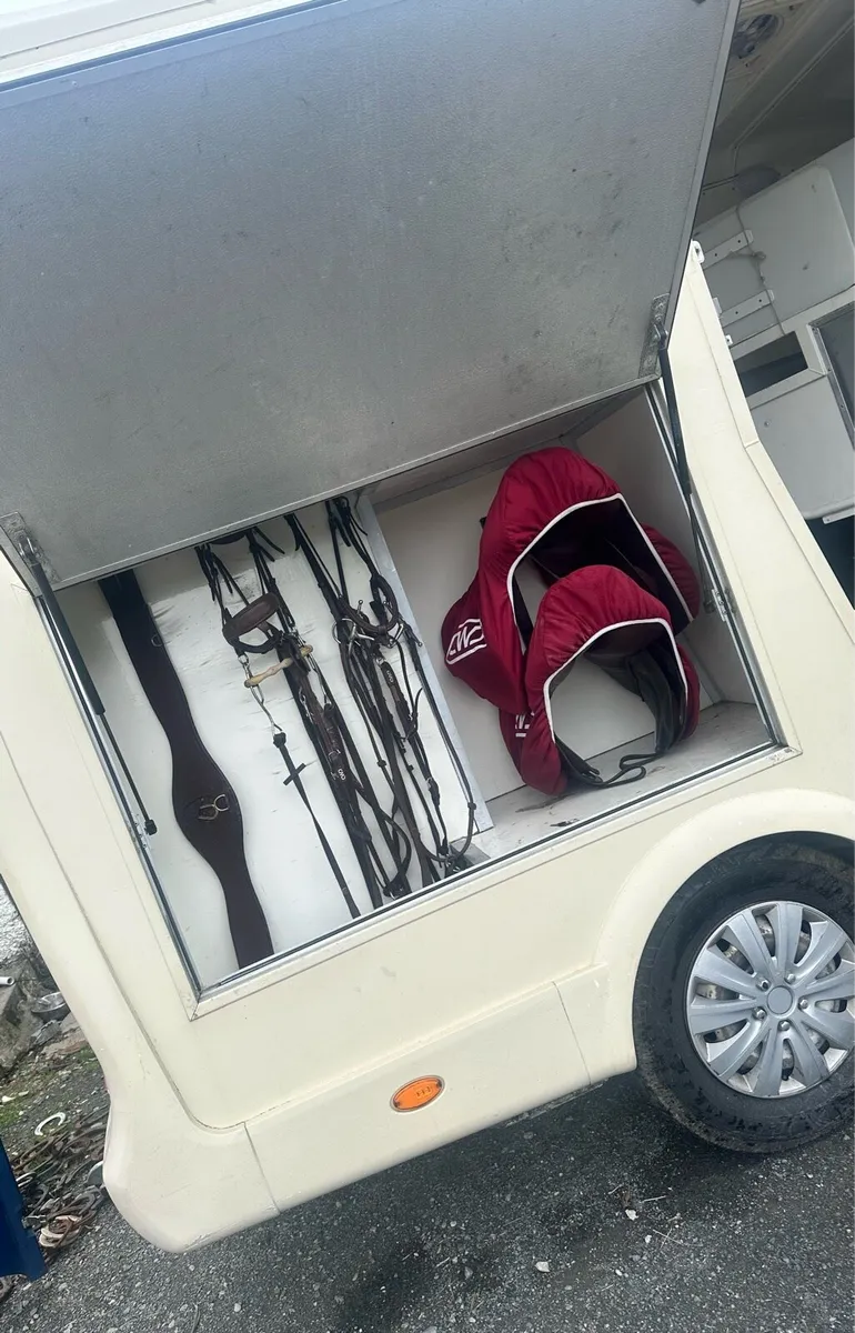 Renault Master 3.5 Tonne Horse Van - Image 2