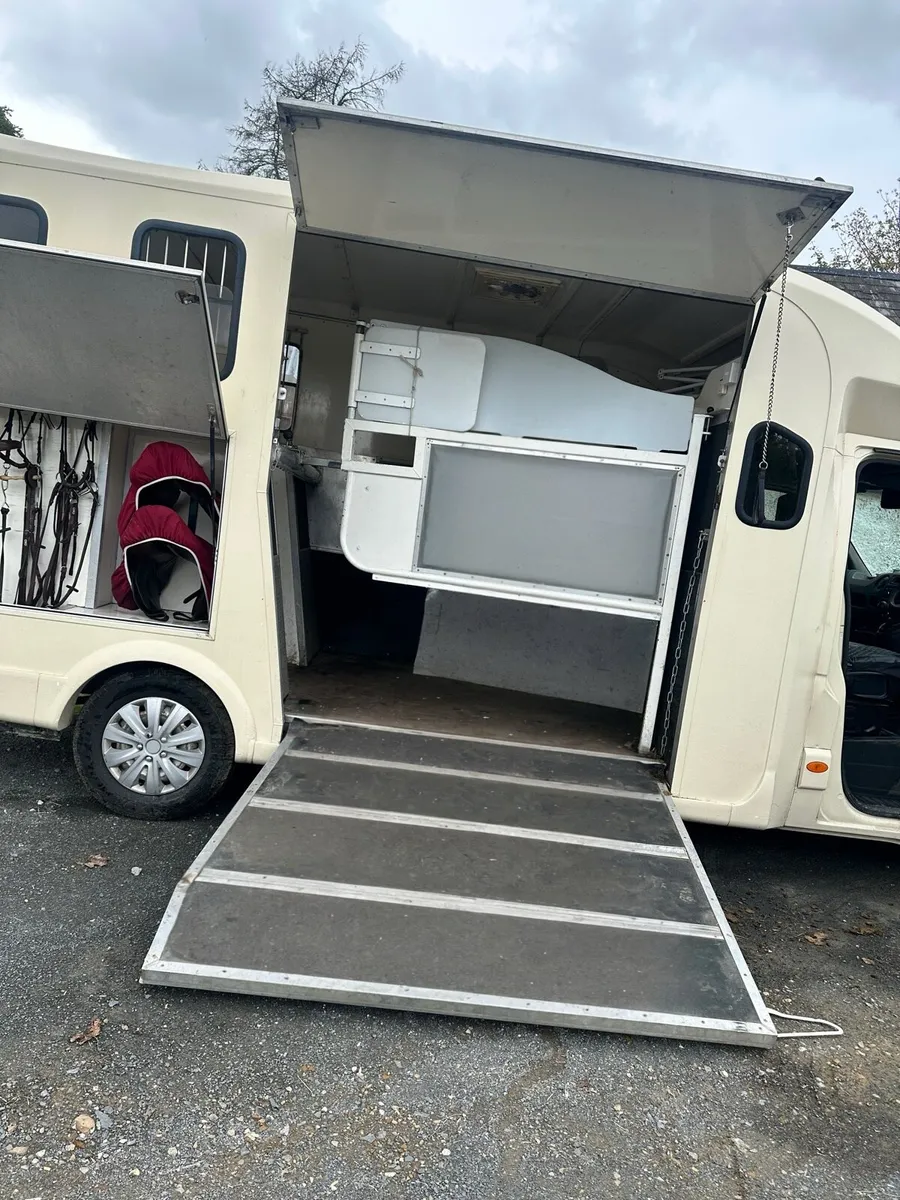 Renault Master 3.5 Tonne Horse Van - Image 3