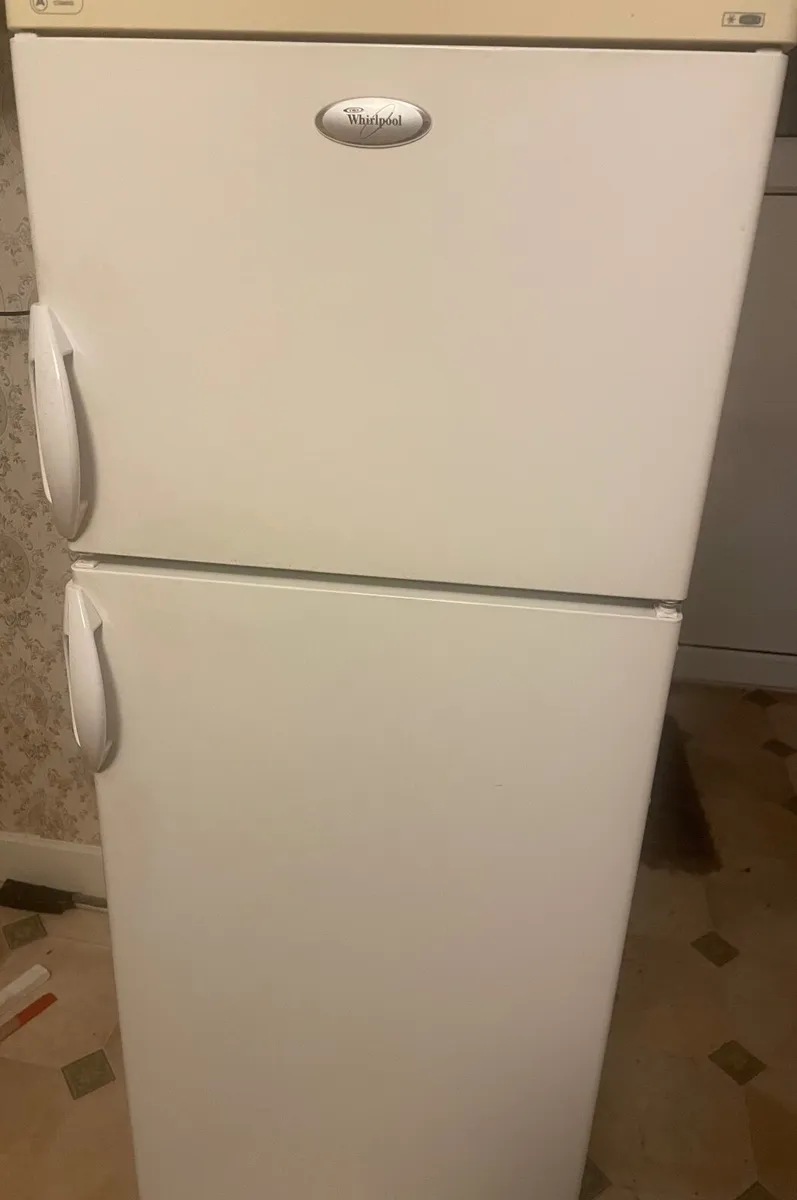 Fridge/ freezer - Image 1