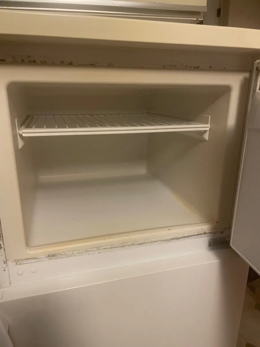 Fridge/ freezer - Image 2