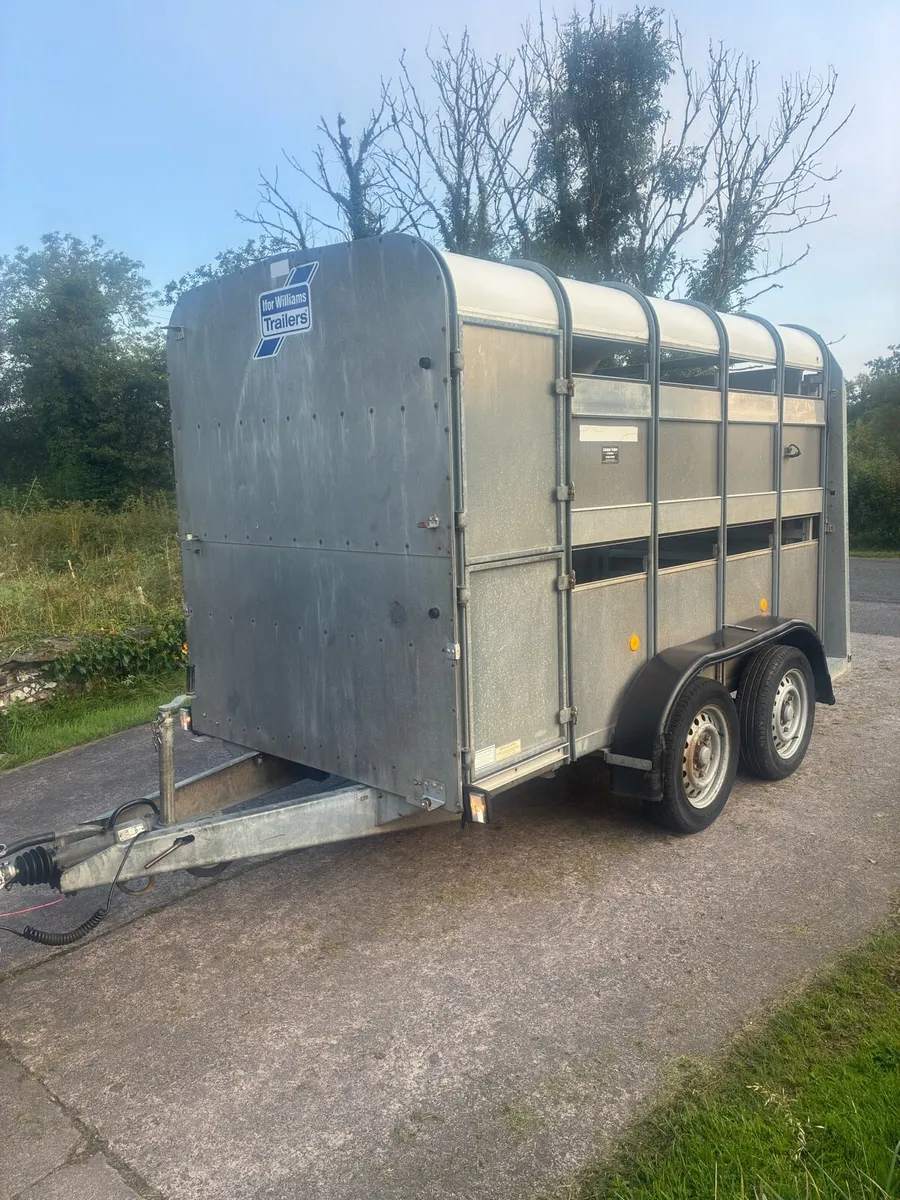 Ifor Williams Cattle / Sheep Trailer - Image 1