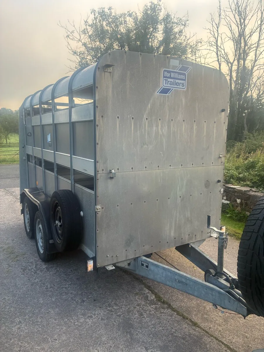 Ifor Williams Cattle / Sheep Trailer - Image 2