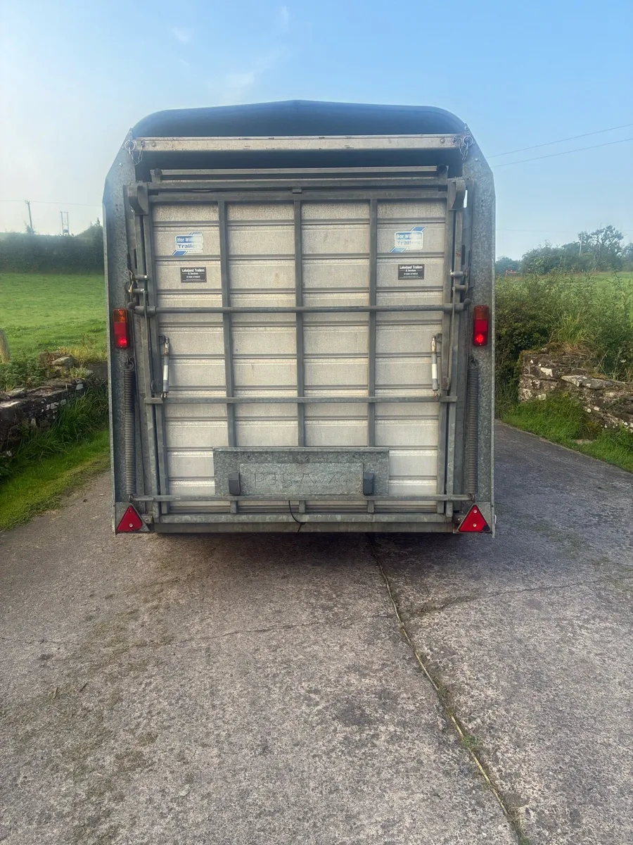 Ifor Williams Cattle / Sheep Trailer - Image 4