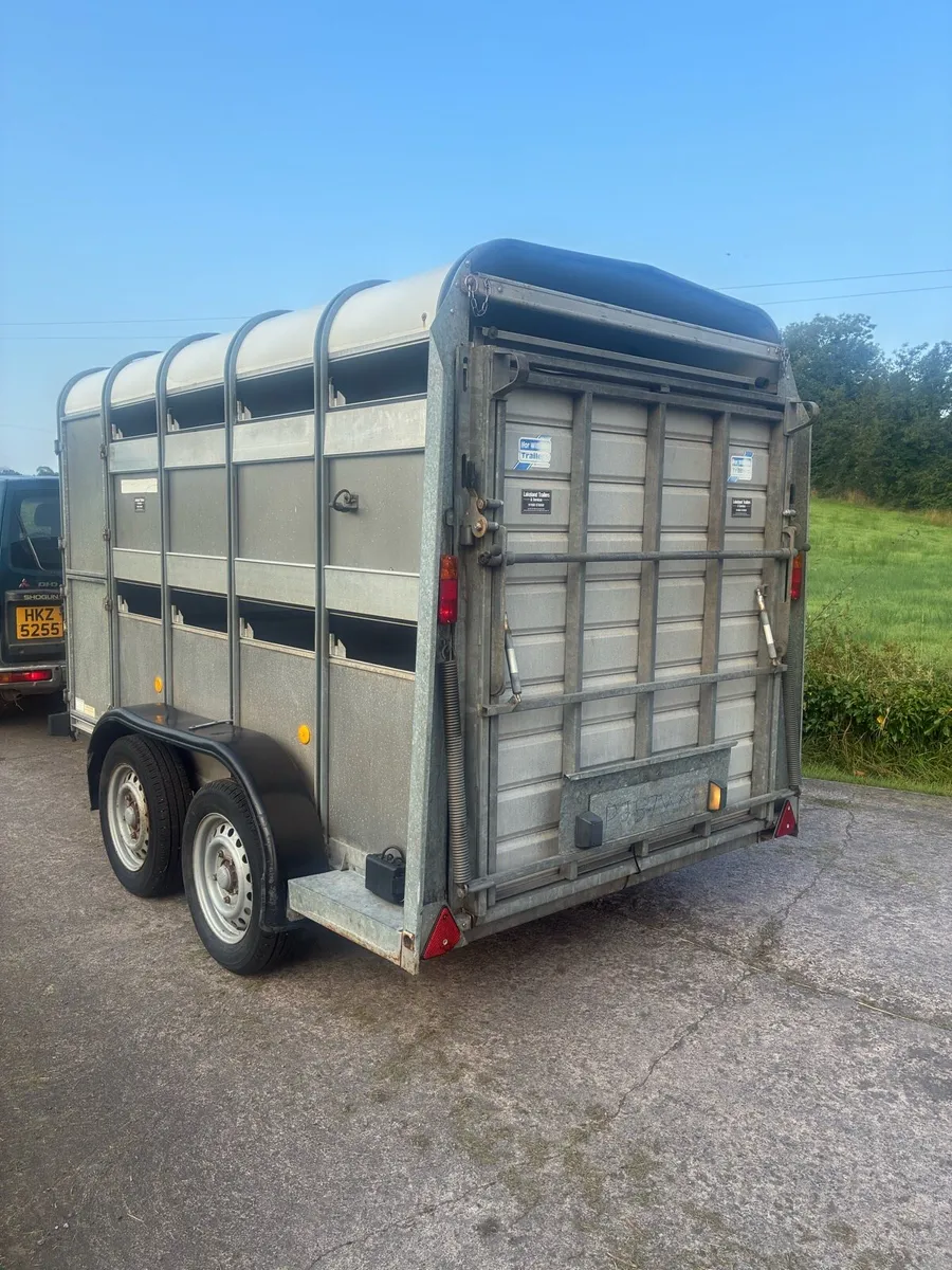 Ifor Williams Cattle / Sheep Trailer - Image 3