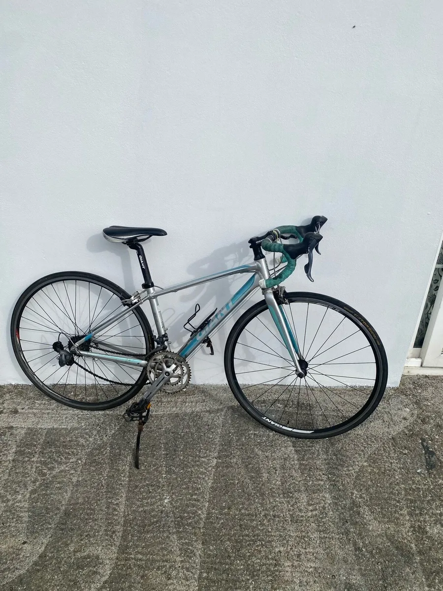 Giant racing bike