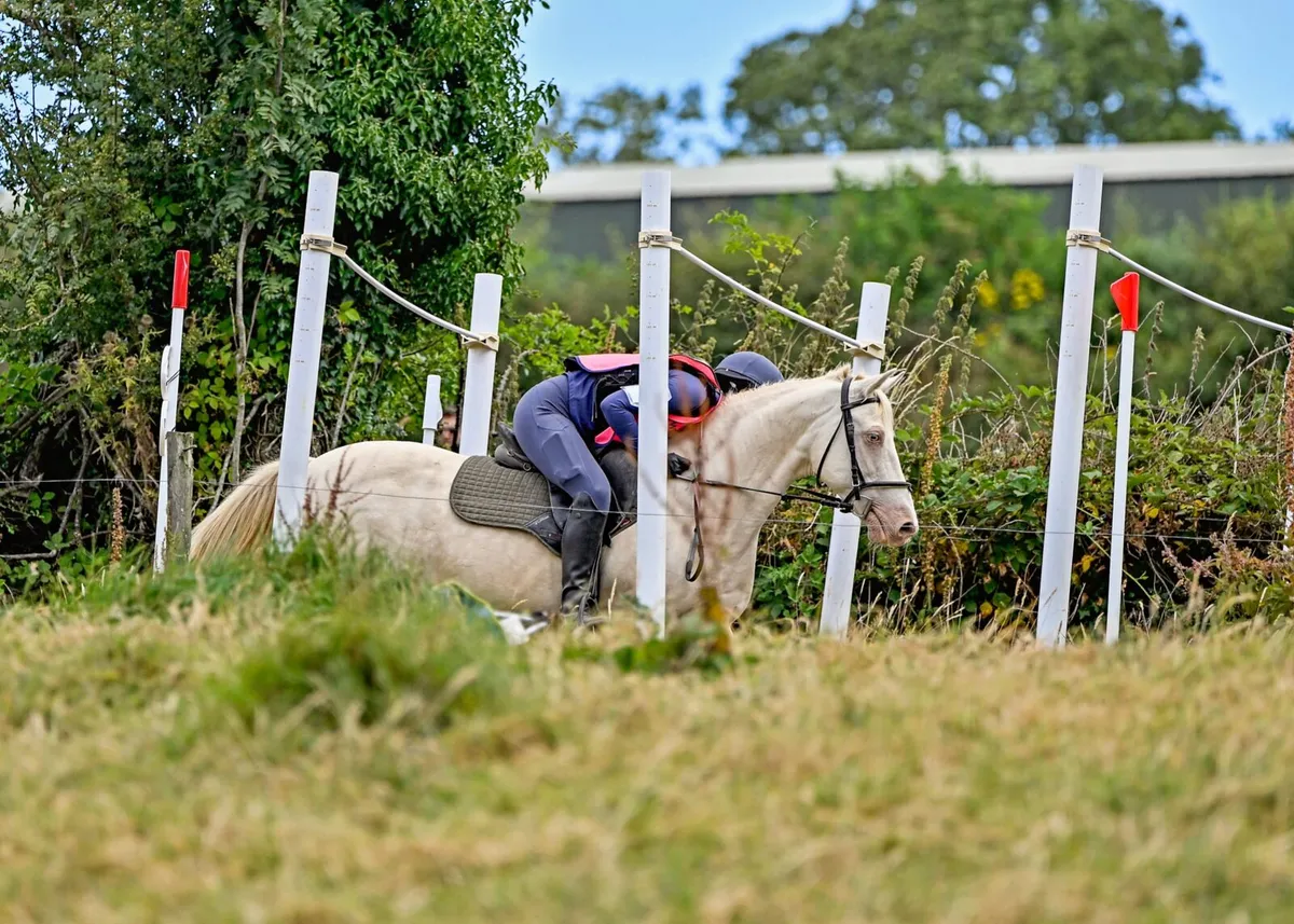 Horsemasters League - Image 2