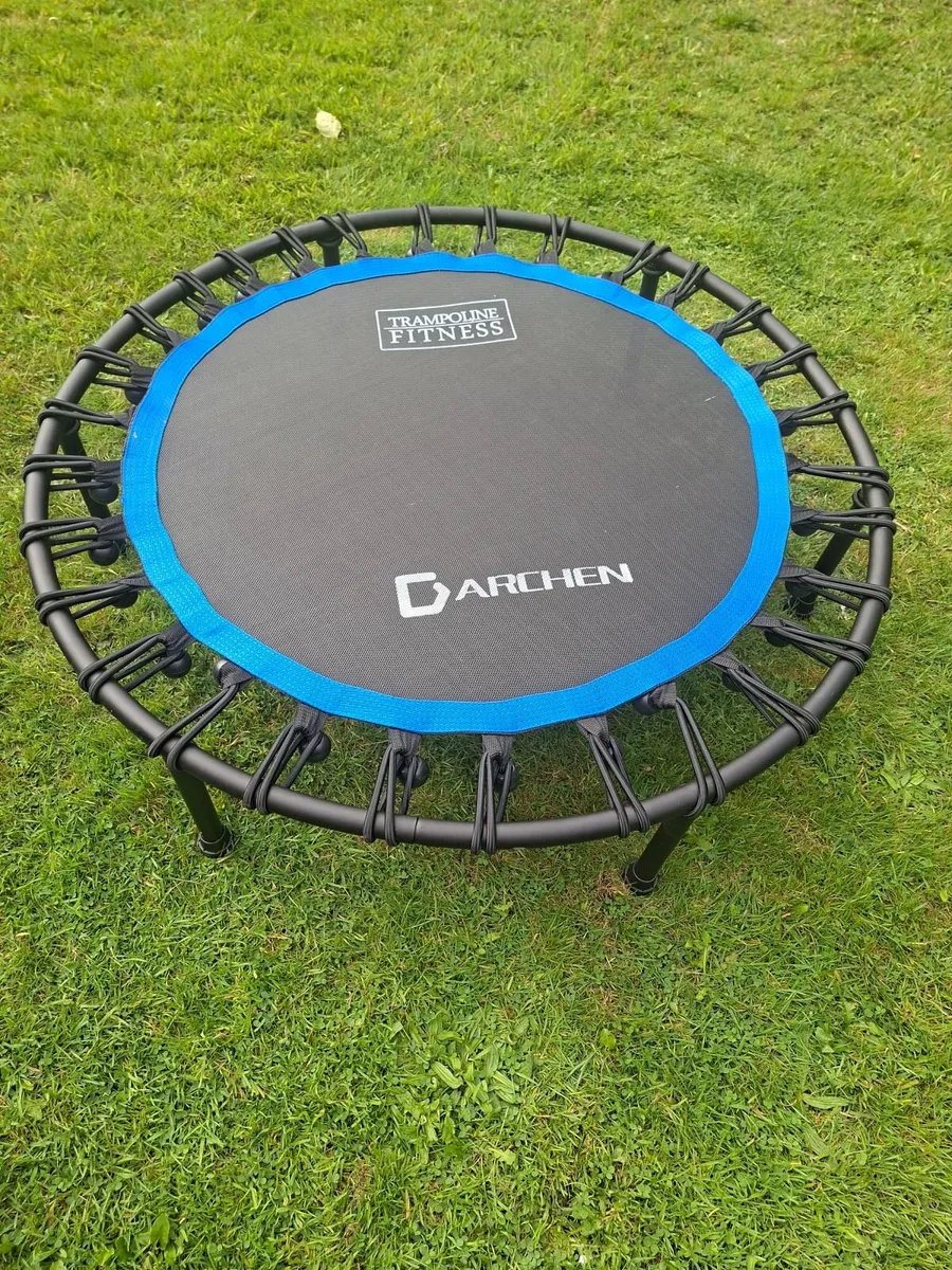 Rebounder, mini trampoline - Image 1