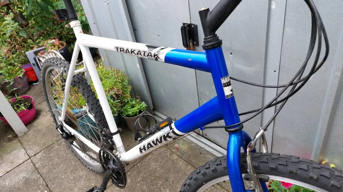 Hawk Trakatak Mountain Bike XL Frame - Image 1