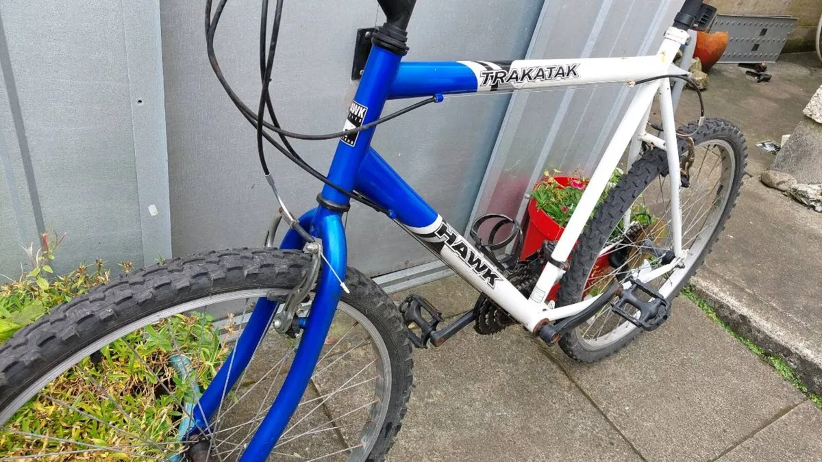 Hawk Trakatak Mountain Bike XL Frame - Image 2