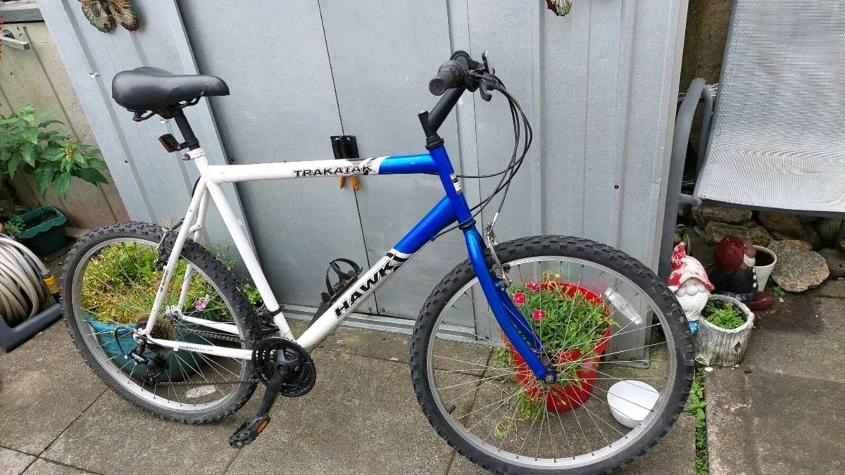 Hawk Trakatak Mountain Bike XL Frame - Image 3