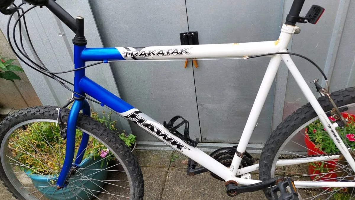 Hawk Trakatak Mountain Bike XL Frame - Image 4