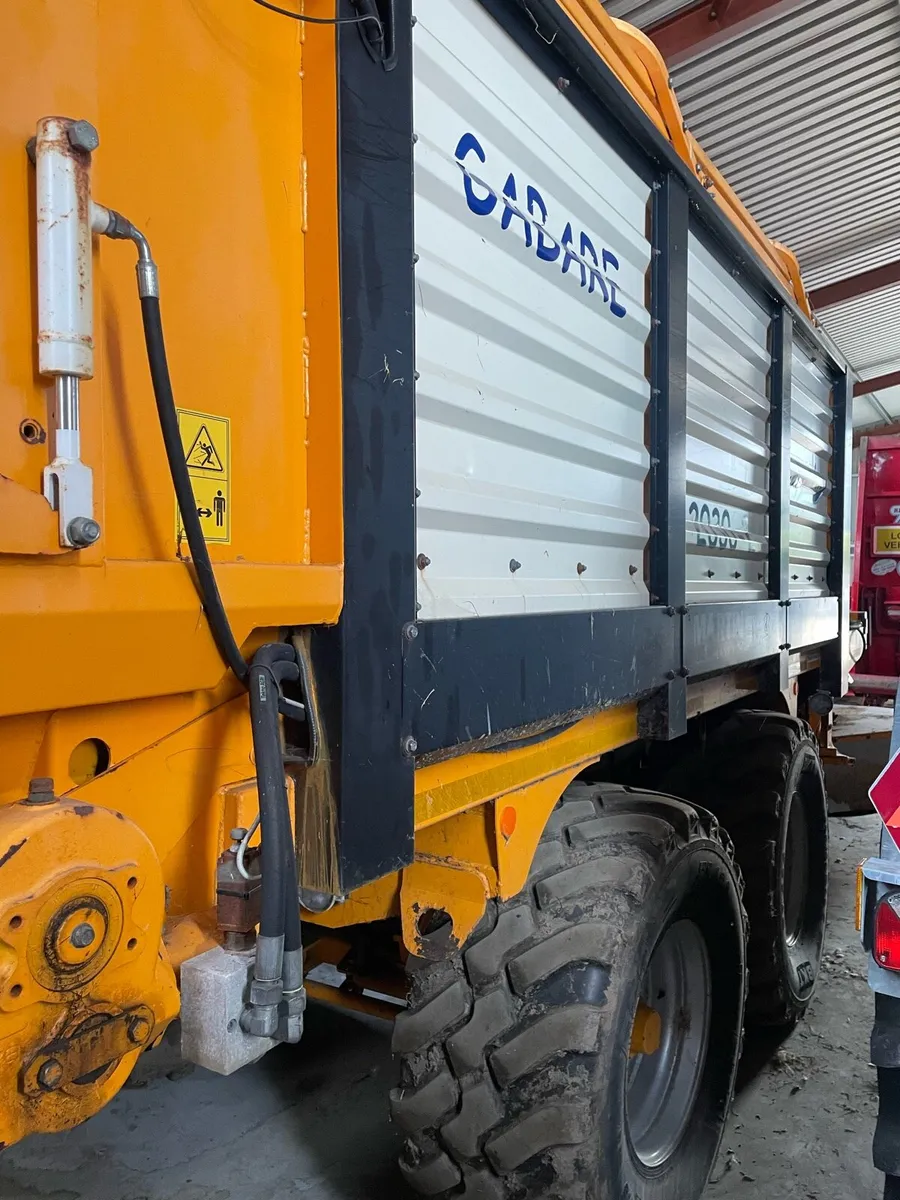Belair zero grazer - Image 4