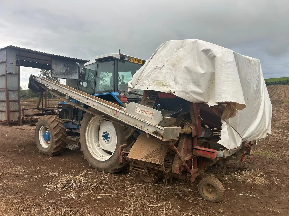 Potato Harvester 1700 Super Faun - Image 4