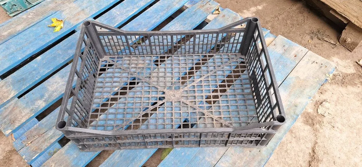 Boxes - Image 4