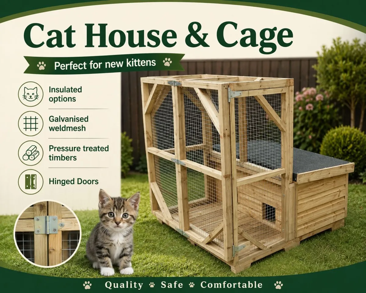 Cat/Kitten House - Image 1