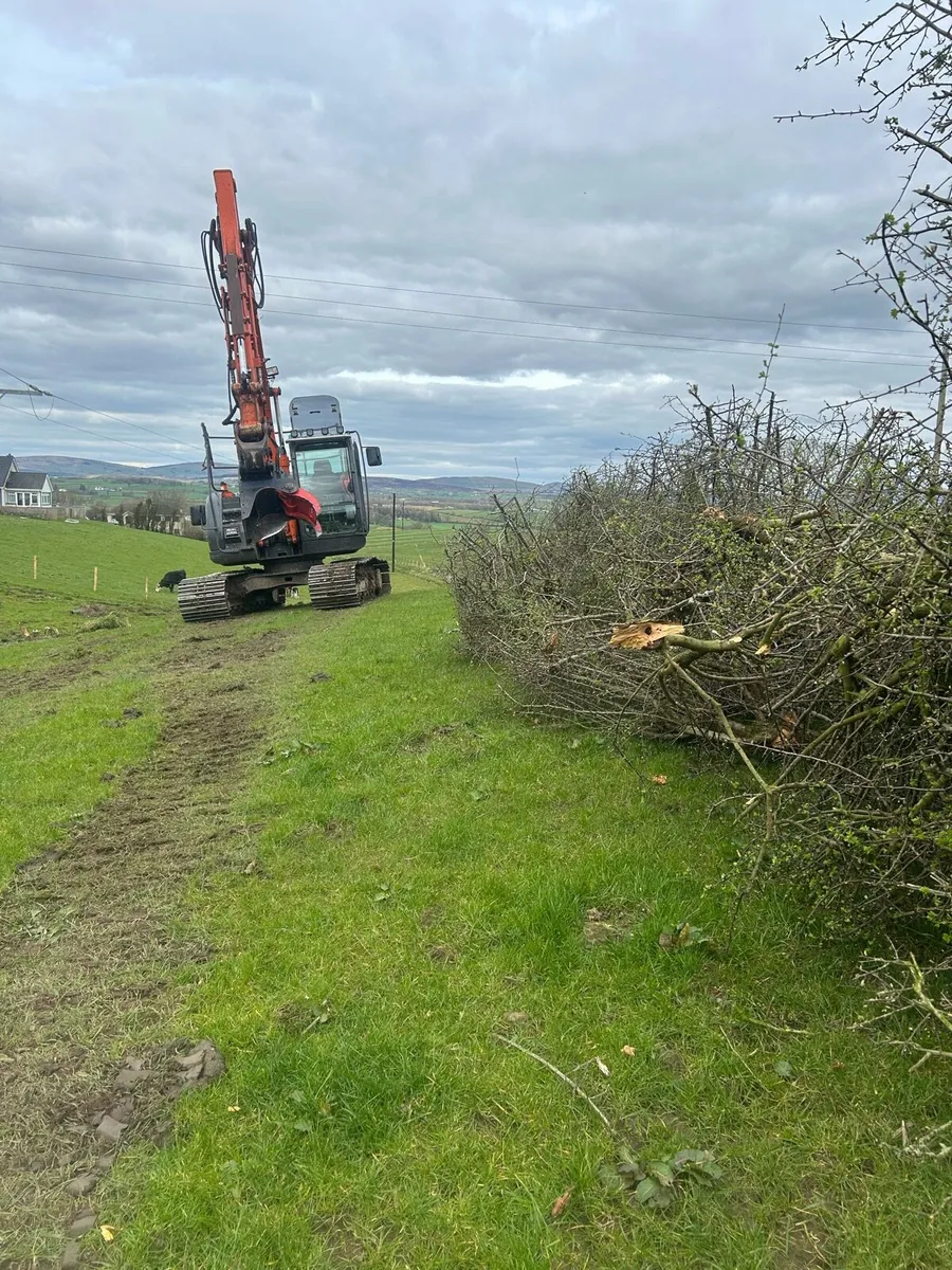 Tree shearing - Image 4