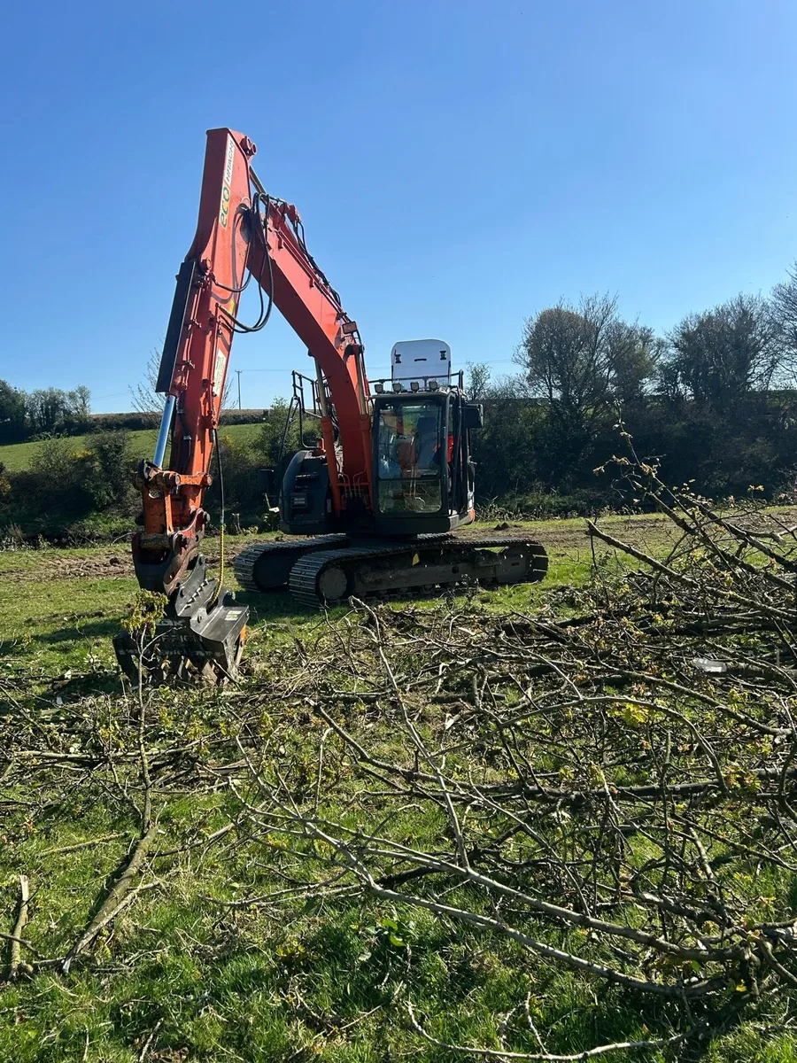 Tree shearing - Image 3