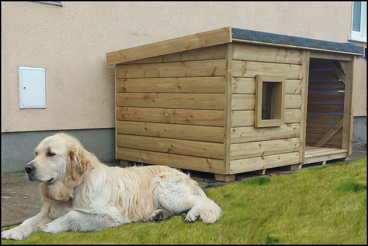 Dog Box In Stock - Image 4