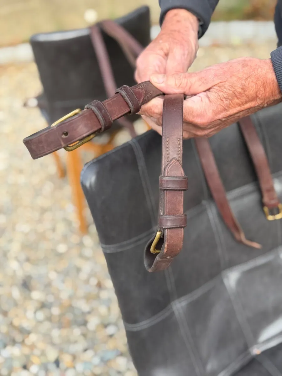 Cob size Harness - Image 3